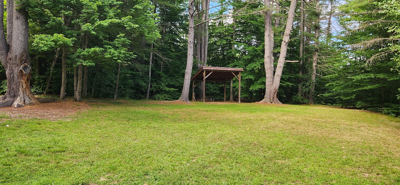 Explore Nature Today: Take A Walk Outdoors Day at Fox Pond Park